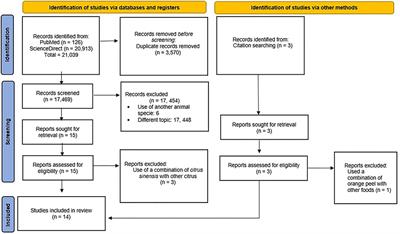 Frontiers | The Biological Effect Of Orange (Citrus Sinensis L.) By ...